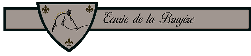 Logo Ecuries de la Bruyère